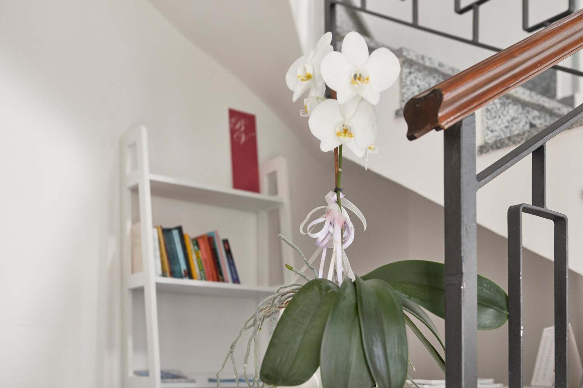 Apartment Komfort Mit Aussenbalkon Riva del Garda